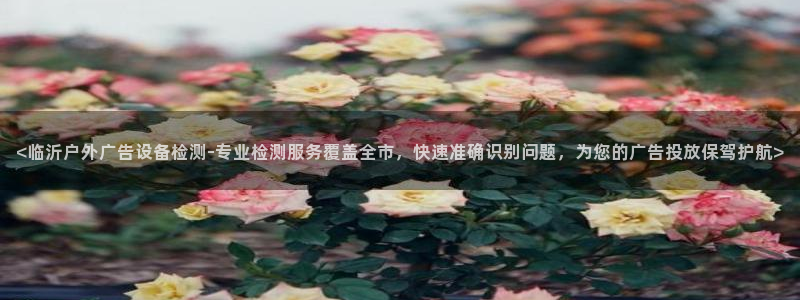 杏宇平台代理多少钱一个：<临沂户外广告设备检测-专业检测服务覆盖全市，快速准确识别问题，为您的广告投放保驾护航>