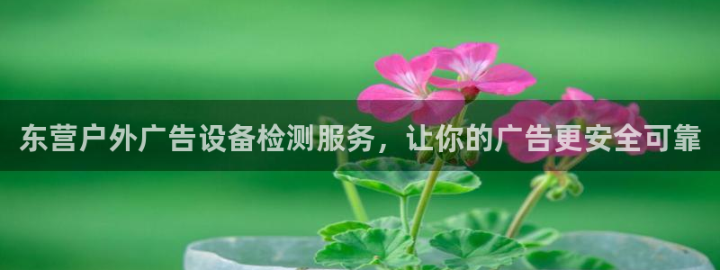 杏宇平台招商：东营户外广告设备检测服务，让你的广告更安全可靠