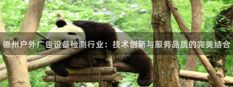 杏宇平台提现为什么这么久呢：德州户外广告设备检测行业：技术创新与服务品质的完美结合