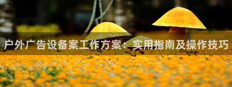 杏宇平台怎么样知乎：户外广告设备案工作方案：实用指南及操作技巧