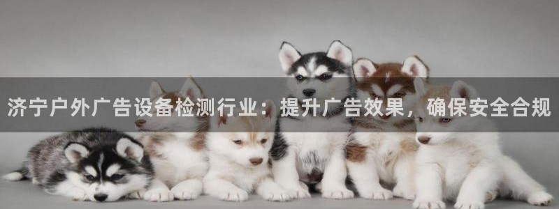 杏宇平台代理怎么赚钱快：济宁户外广告设备检测行业：提升广告效果，确保安全合规