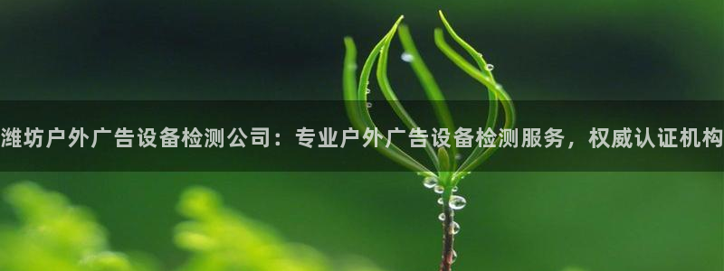 杏宇官方平台官网入口：潍坊户外广告设备检测公司：专业户外广告设备检测服务，权威认证机构