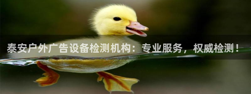 杏宇平台登录步骤：泰安户外广告设备检测机构：专业服务，权威检测！