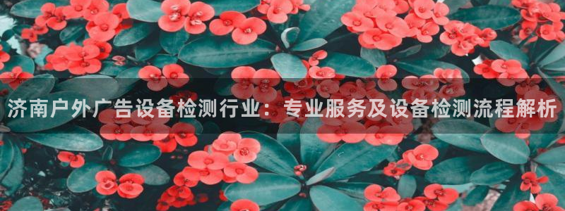 杏宇平台代理怎么样可靠吗：济南户外广告设备检测行业：专业服务及设备检测流程解析