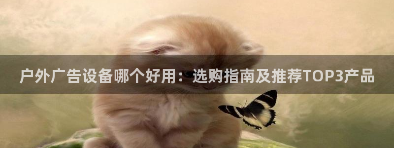 杏宇平台代理多少钱一次