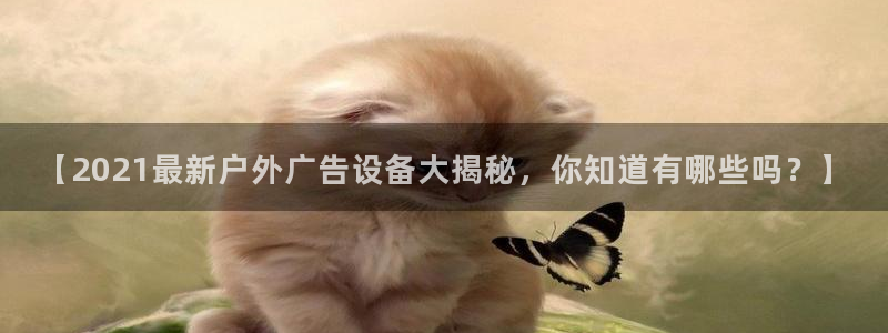 杏宇平台代理多少钱一个月