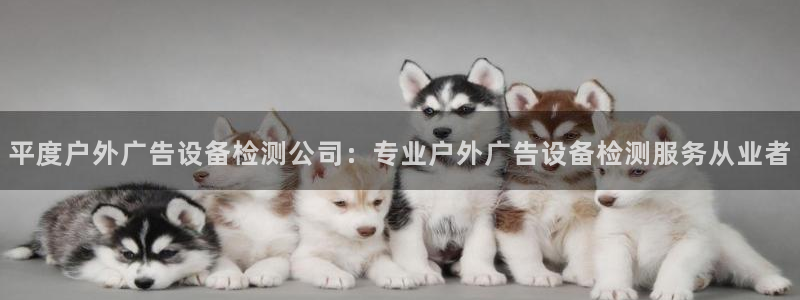 杏宇平台总代理电话