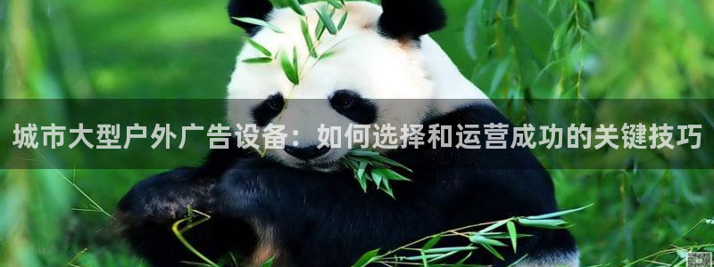 杏宇平台是什么