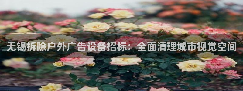 杏宇平台总代理电话：无锡拆除户外广告设备招标：全面清理城市视觉空间
