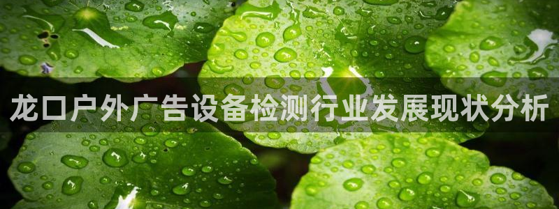 杏宇平台怎么样赚钱：龙口户外广告设备检测行业发展现状分析