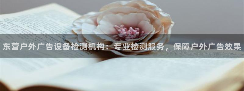 杏宇平台招商怎么样
