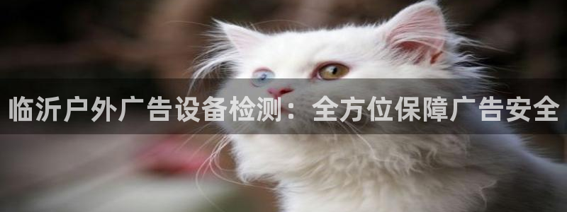 杏宇平台代理怎么样赚钱：临沂户外广告设备检测：全方位保障广告安全