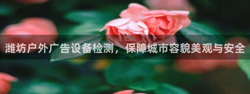 杏宇平台主管：潍坊户外广告设备检测，保障城市容貌美观与安全