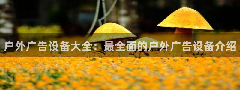 杏宇平台登录步骤：户外广告设备大全：最全面的户外广告设备介绍