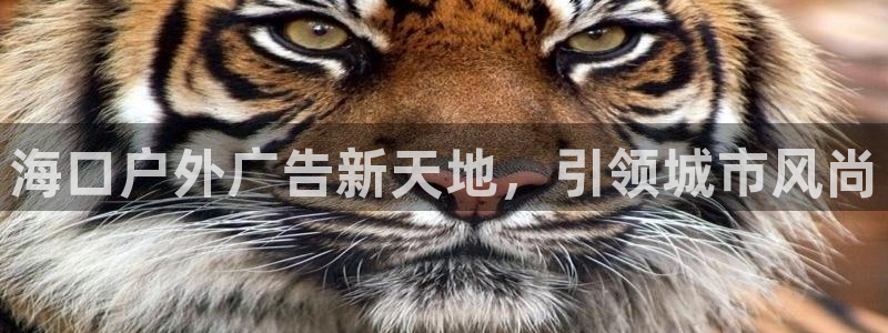 杏宇平台代理怎么样可靠吗：海口户外广告新天地，引领城市风尚