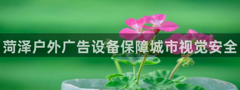 杏宇官方平台官网入口：菏泽户外广告设备保障城市视觉安全