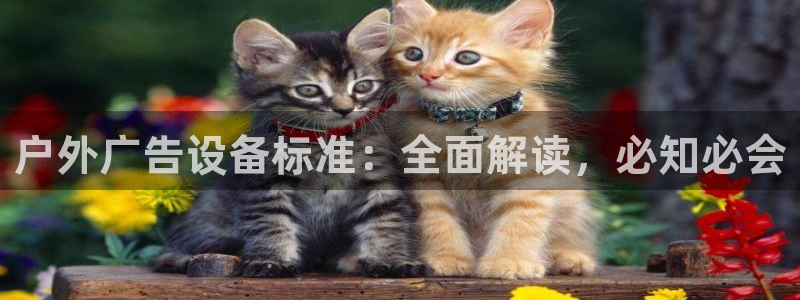 杏宇代理注册：户外广告设备标准：全面解读，必知必会