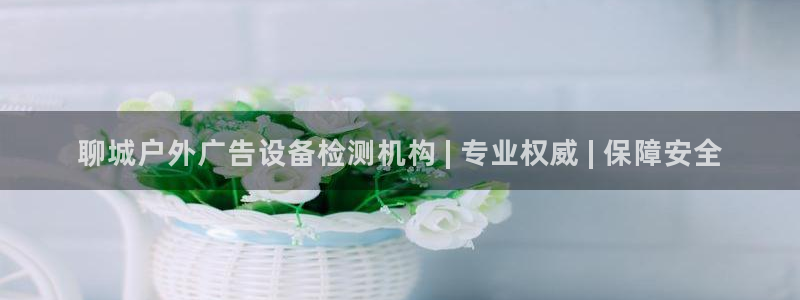 杏宇平台代理多少钱一个月：聊城户外广告设备检测机构 | 专业权威 | 保障安全