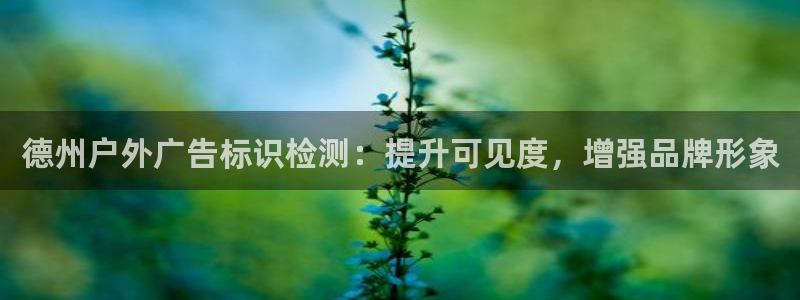杏宇平台代理多少钱一个月
