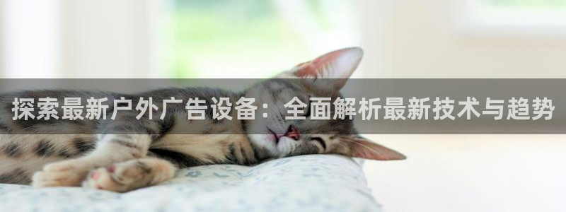 杏宇平台是什么：探索最新户外广告设备：全面解析最新技术与趋势