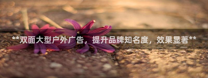 杏宇平台代理多少钱：**双面大型户外广告，提升品牌知名度，效果显著**