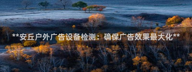 杏宇平台登录步骤图：**安丘户外广告设备检测：确保广告效果最大化**