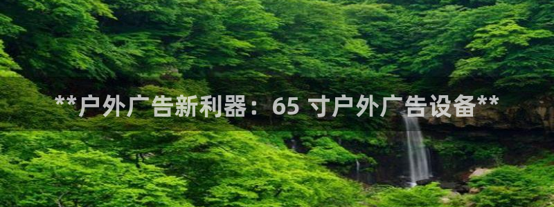 杏宇平台代理怎么样可靠吗：**户外广告新利器：65 寸户外广告设备**