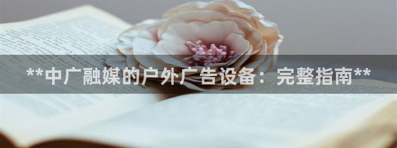 杏宇平台代理怎么赚钱的：**中广融媒的户外广告设备：完整指南**