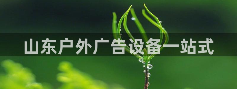 杏宇平台登录步骤是什么：山东户外广告设备一站式