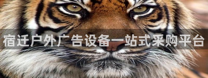 杏宇平台怎么样赚钱：宿迁户外广告设备一站式采购平台