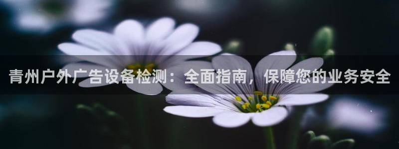 杏宇平台代理：青州户外广告设备检测：全面指南，保障您的业务安全