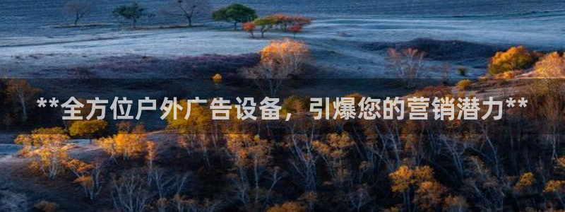 杏宇平台开户：**全方位户外广告设备，引爆您的营销潜力**
