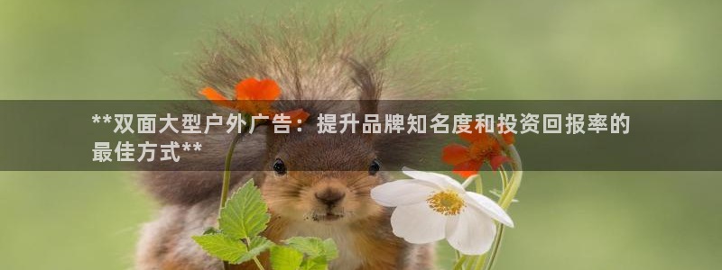 杏宇平台代理多少钱一个：**双面大型户外广告：提升品牌知名度和投资回报率的
最佳方式**