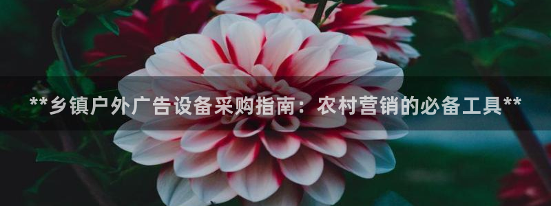 杏宇平台官网注册：**乡镇户外广告设备采购指南：农村营销的必备工具**