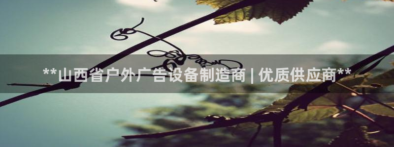 杏宇平台登录步骤是什么：**山西省户外广告设备制造商 | 优质供应商**