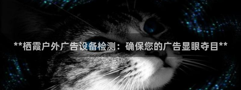 杏宇平台代理多少钱一次：**栖霞户外广告设备检测：确保您的广告显眼夺目**
