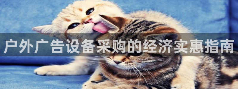 杏宇平台代理多少钱一个：户外广告设备采购的经济实惠指南