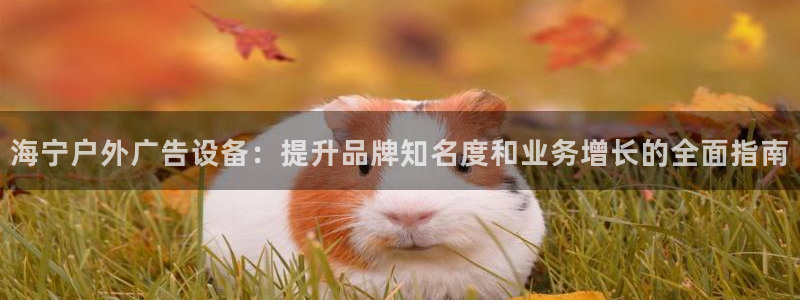 杏宇平台代理多少钱一个月：海宁户外广告设备：提升品牌知名度和业务增长的全面指南