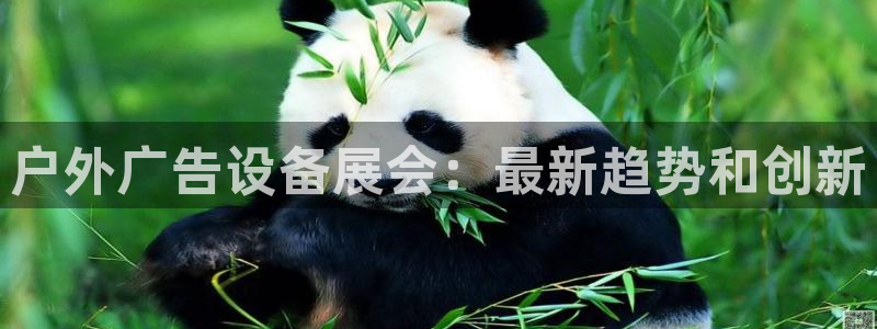 杏宇平台提现为什么这么久呢：户外广告设备展会：最新趋势和创新