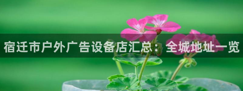 杏宇平台总代理是谁：宿迁市户外广告设备店汇总：全城地址一览