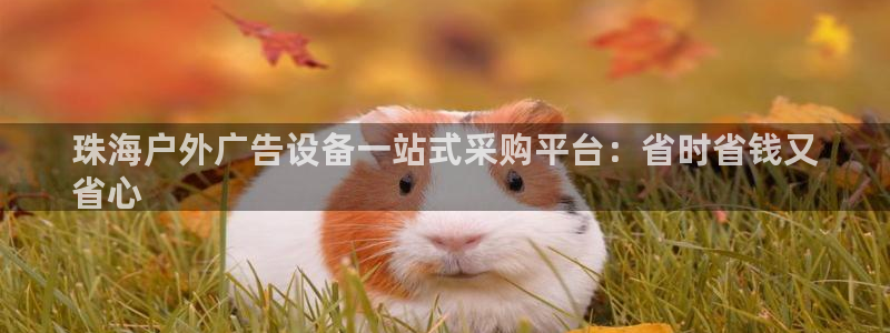 杏宇官方平台官网下载：珠海户外广告设备一站式采购平台：省时省钱又
省心