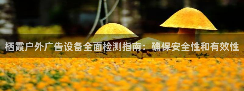杏宇平台主管：栖霞户外广告设备全面检测指南：确保安全性和有效性