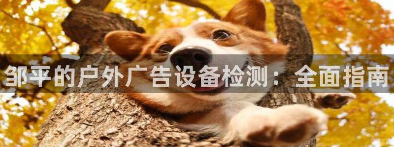 杏宇平台代理怎么赚钱快：邹平的户外广告设备检测：全面指南