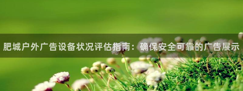 杏宇平台总代理电话