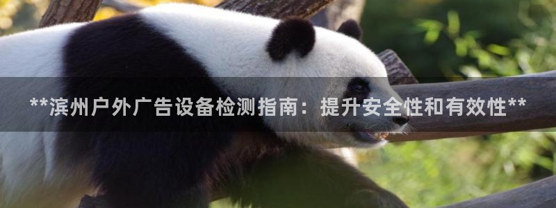 杏宇平台招商电话号码：**滨州户外广告设备检测指南：提升安全性和有效性**