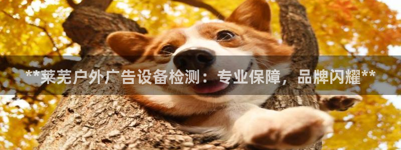 杏宇平台主管：**莱芜户外广告设备检测：专业保障，品牌闪耀**