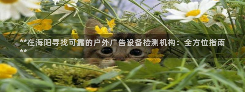 杏宇平台代理怎么赚钱：**在海阳寻找可靠的户外广告设备检测机构：全方位指南
**