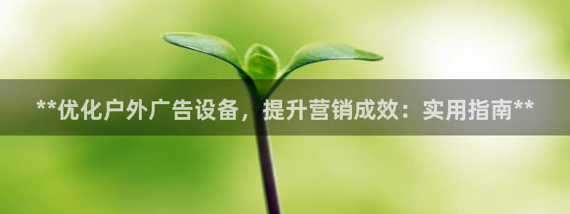 杏宇平台登录步骤图：**优化户外广告设备，提升营销成效：实用指南**