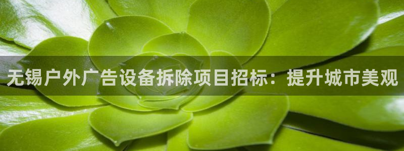 杏宇平台代理多少钱一个月：无锡户外广告设备拆除项目招标：提升城市美观