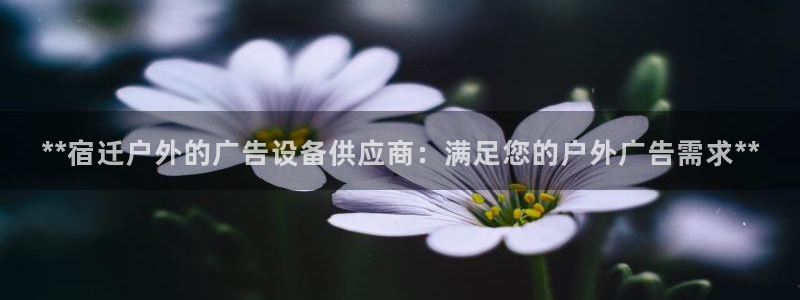 杏宇官方平台官网下载：**宿迁户外的广告设备供应商：满足您的户外广告需求**